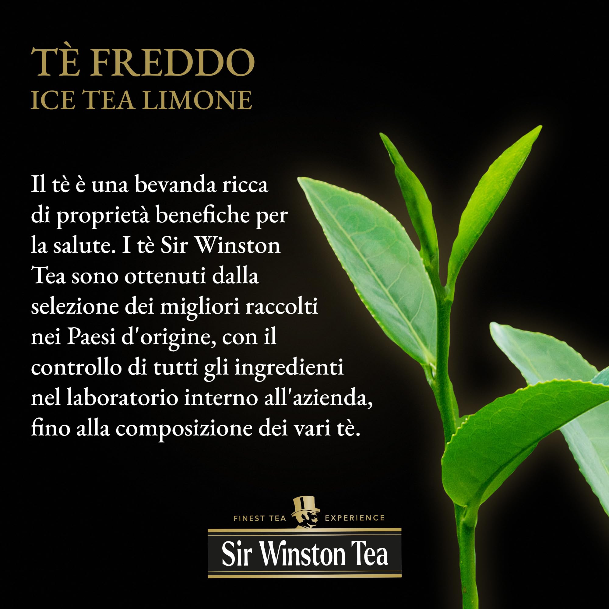 sir-winston-tea-ice-tea-limone-t-nero-freddo-in-54-filtri-3-x-18-filtri image 4