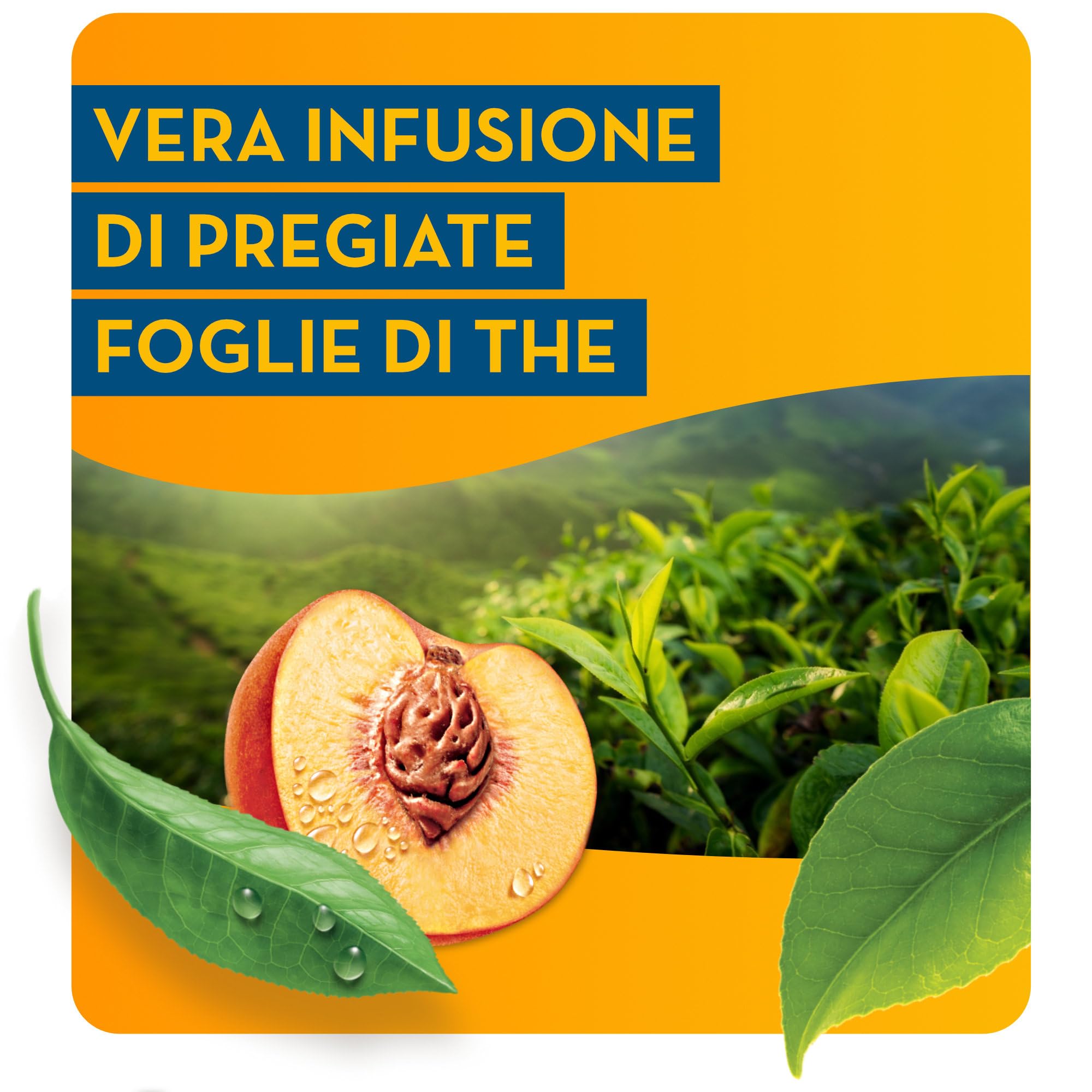 estath-pesca-t-freddo-alla-pesca-24-lattine-da-330-ml image 3