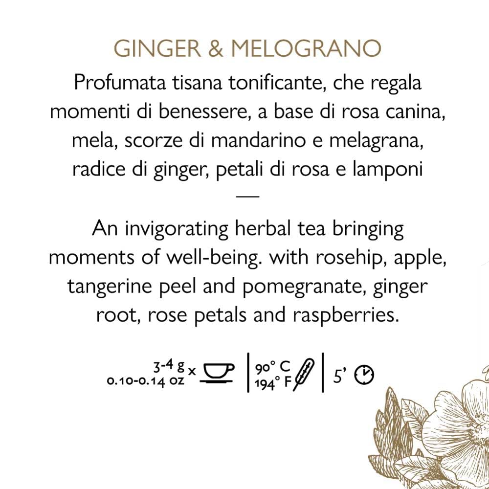 la-via-del-t-tisana-ginger-e-melograno-lattina-da-125g image 3