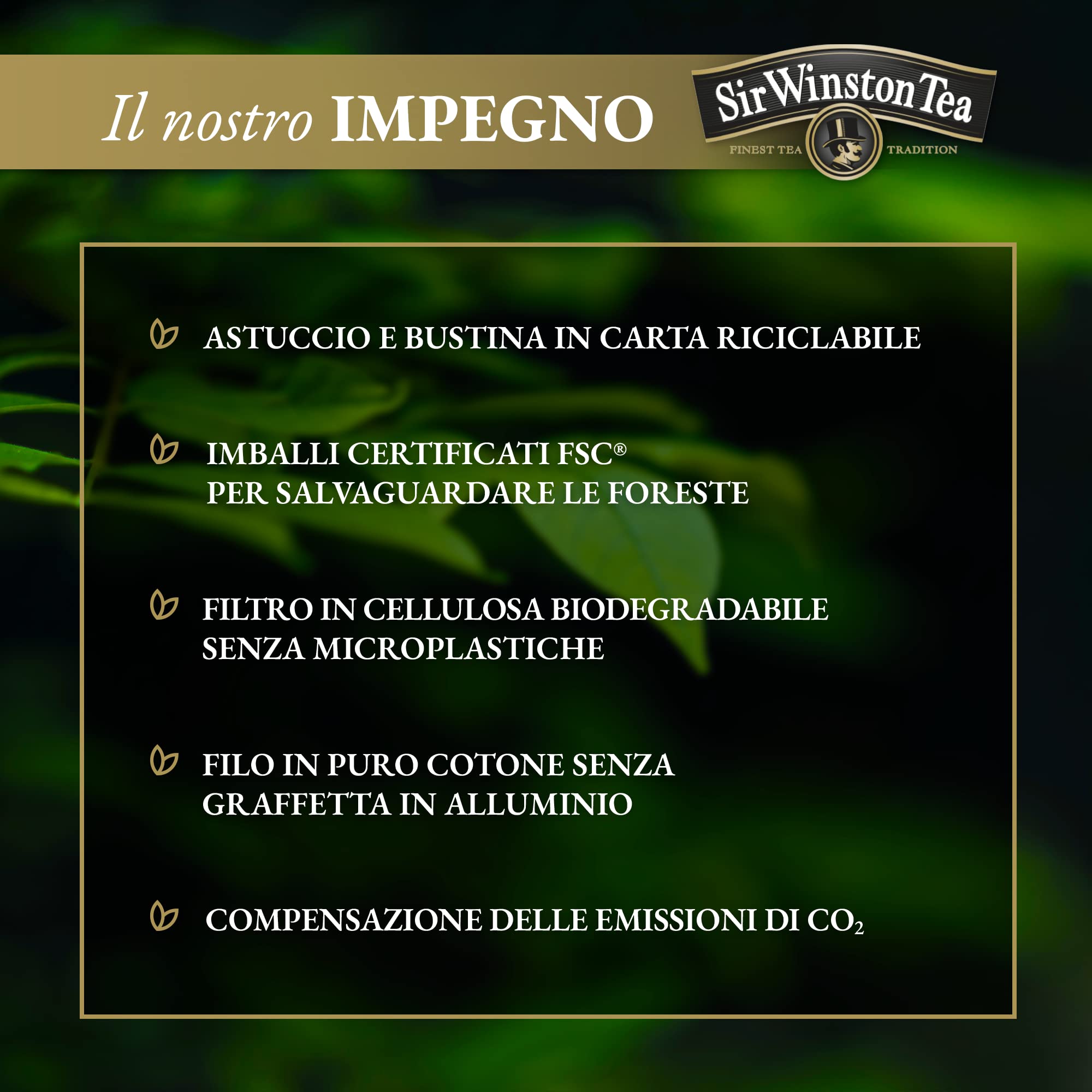 sir-winston-tea-attivat-t-nero-mate-limone-54-filtri-3x18 image 7