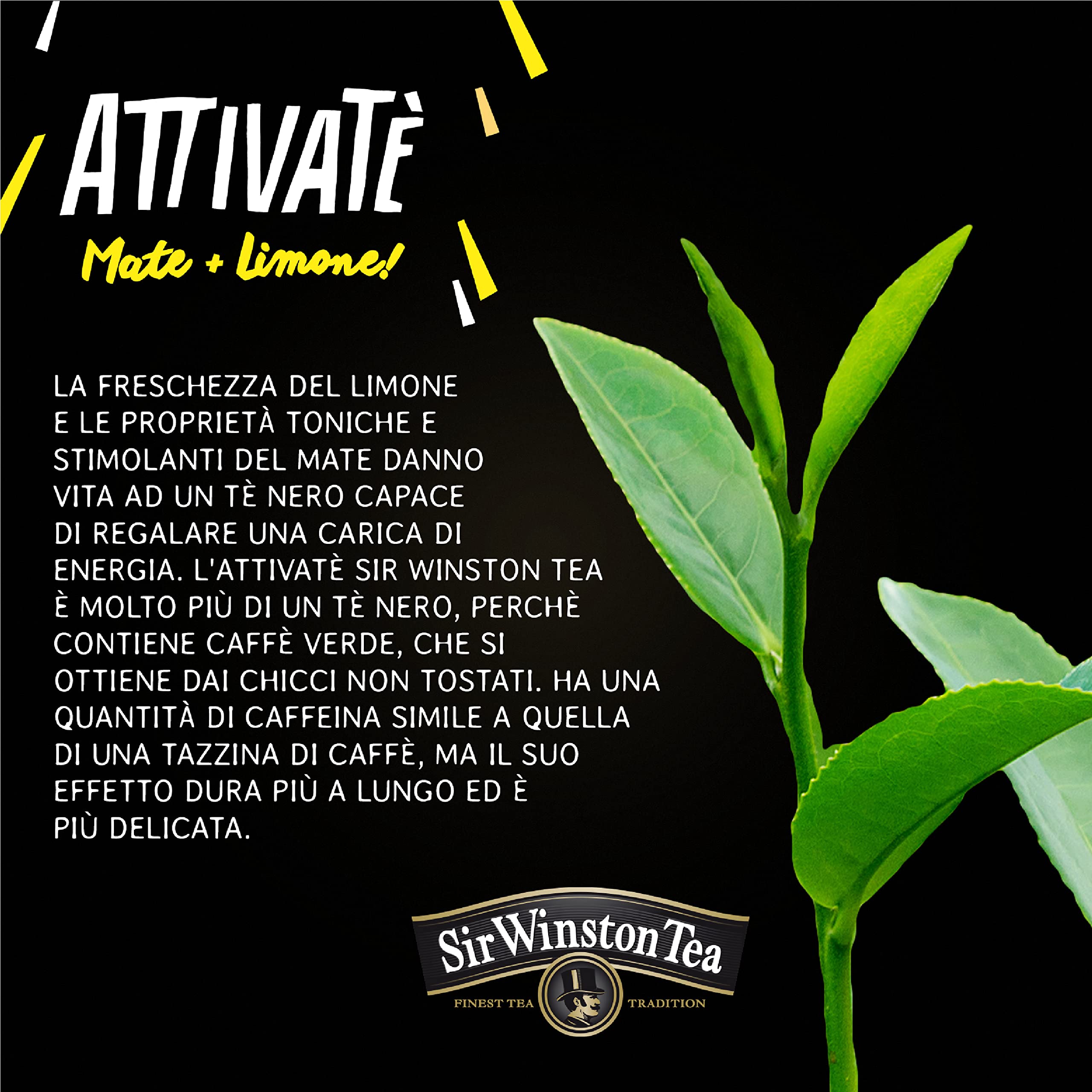 sir-winston-tea-attivat-t-nero-mate-limone-54-filtri-3x18 image 5