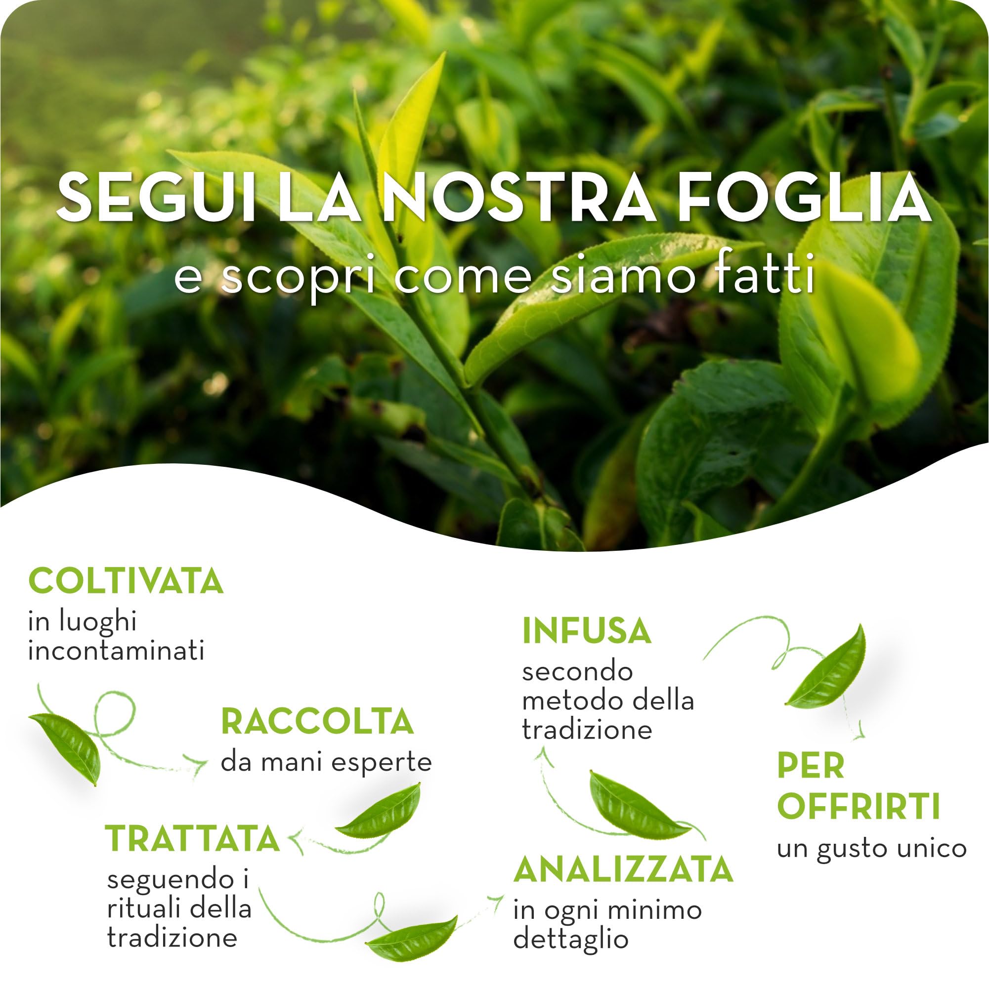 estath-deteinato-limone-t-freddo-deteinato-12-bottiglie-da-250-ml image 7