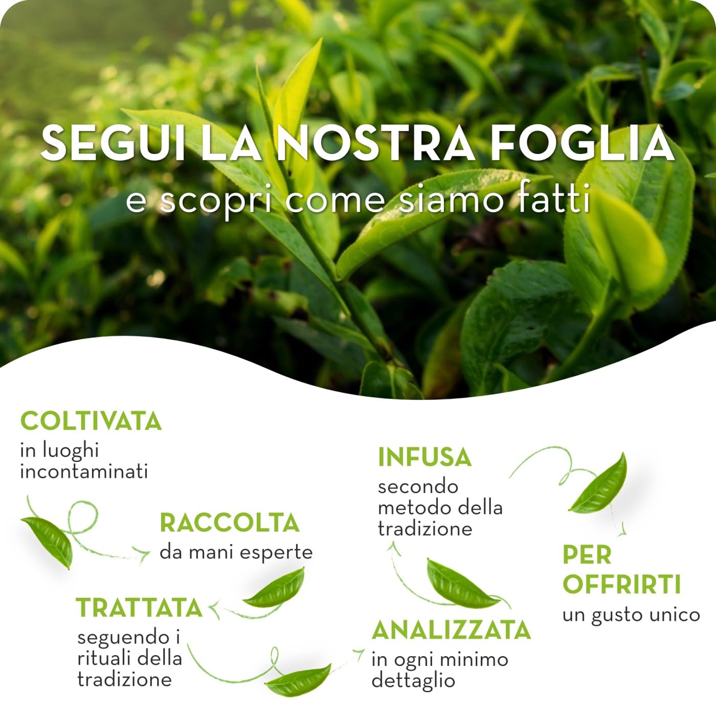 estath-zero-limone-t-freddo-senza-zucchero-con-vero-infuso-e-limone-6-bottiglie- image 6