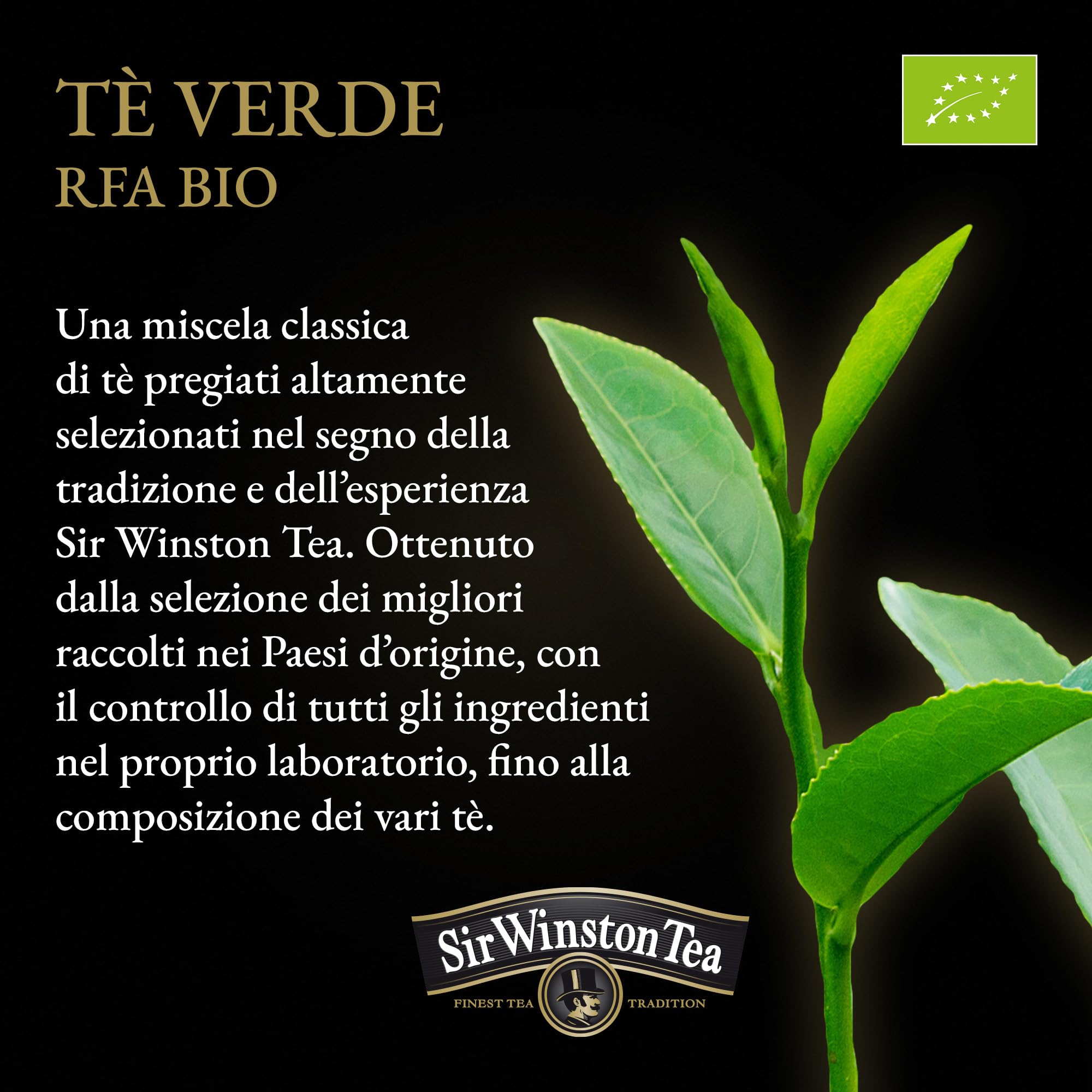 sir-winston-tea-t-verde-biologico-60-filtri-3-x-20 image 5