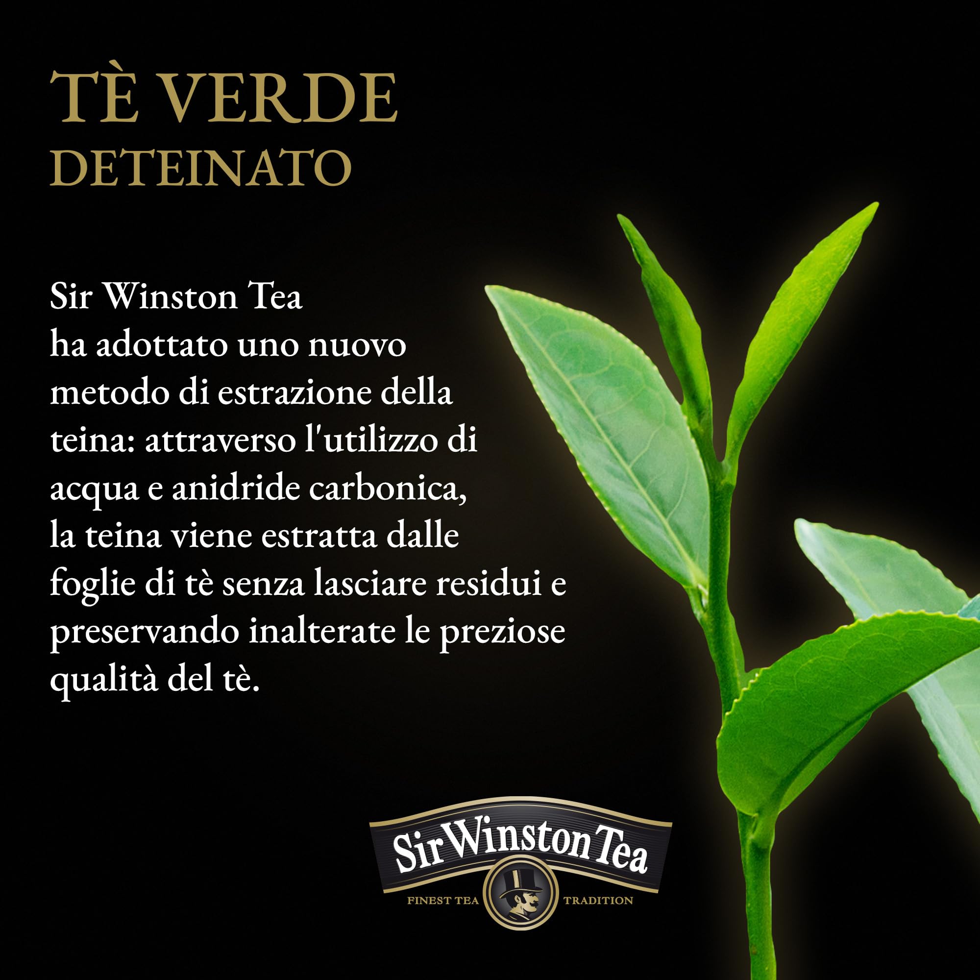 sir-winston-tea-t-verde-deteinato-60-filtri-3-x-20 image 5