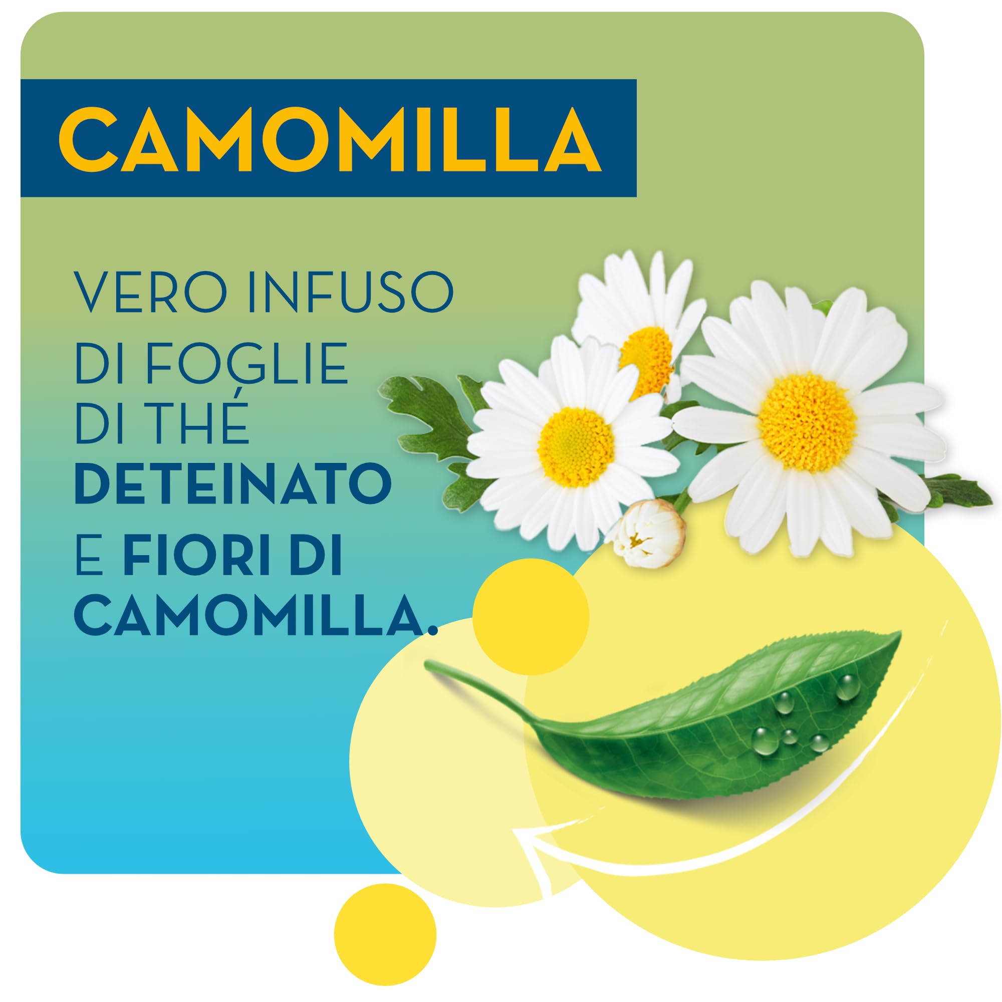 estath-deteinato-camomilla-t-freddo-12-brick-da-0-25-l image 2