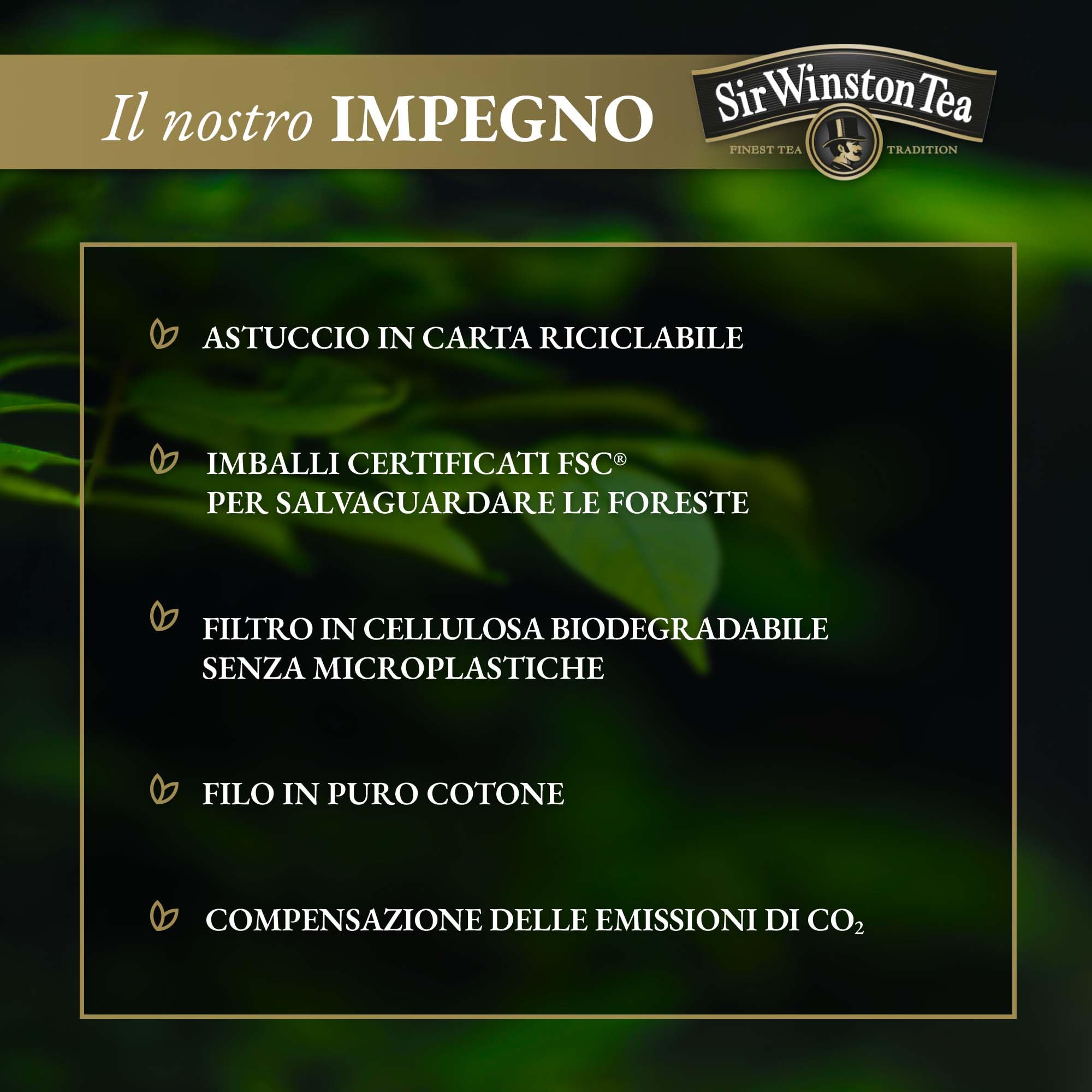 sir-winston-tea-t-verde-deteinato-60-filtri-3-x-20 image 7
